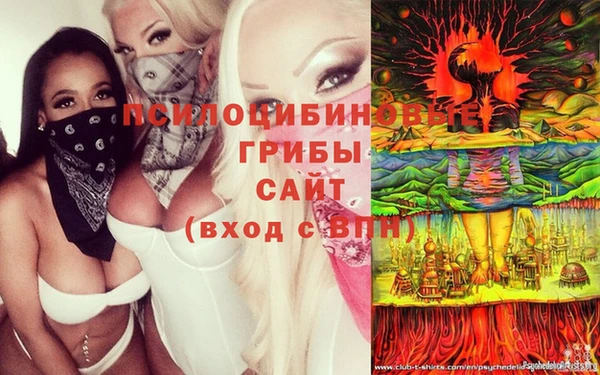 2c-b Михайловка