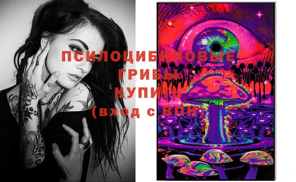 спиды Михайлов