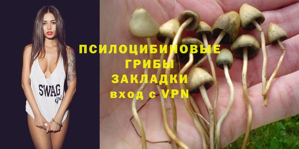 альфа пвп Медногорск