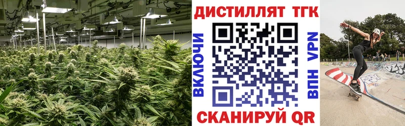 Купить закладки  Макаров  Дистиллят ТГК вейп 