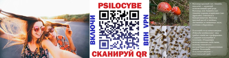 Галлюциногенные грибы прущие грибы  Купить закладки  Макаров 